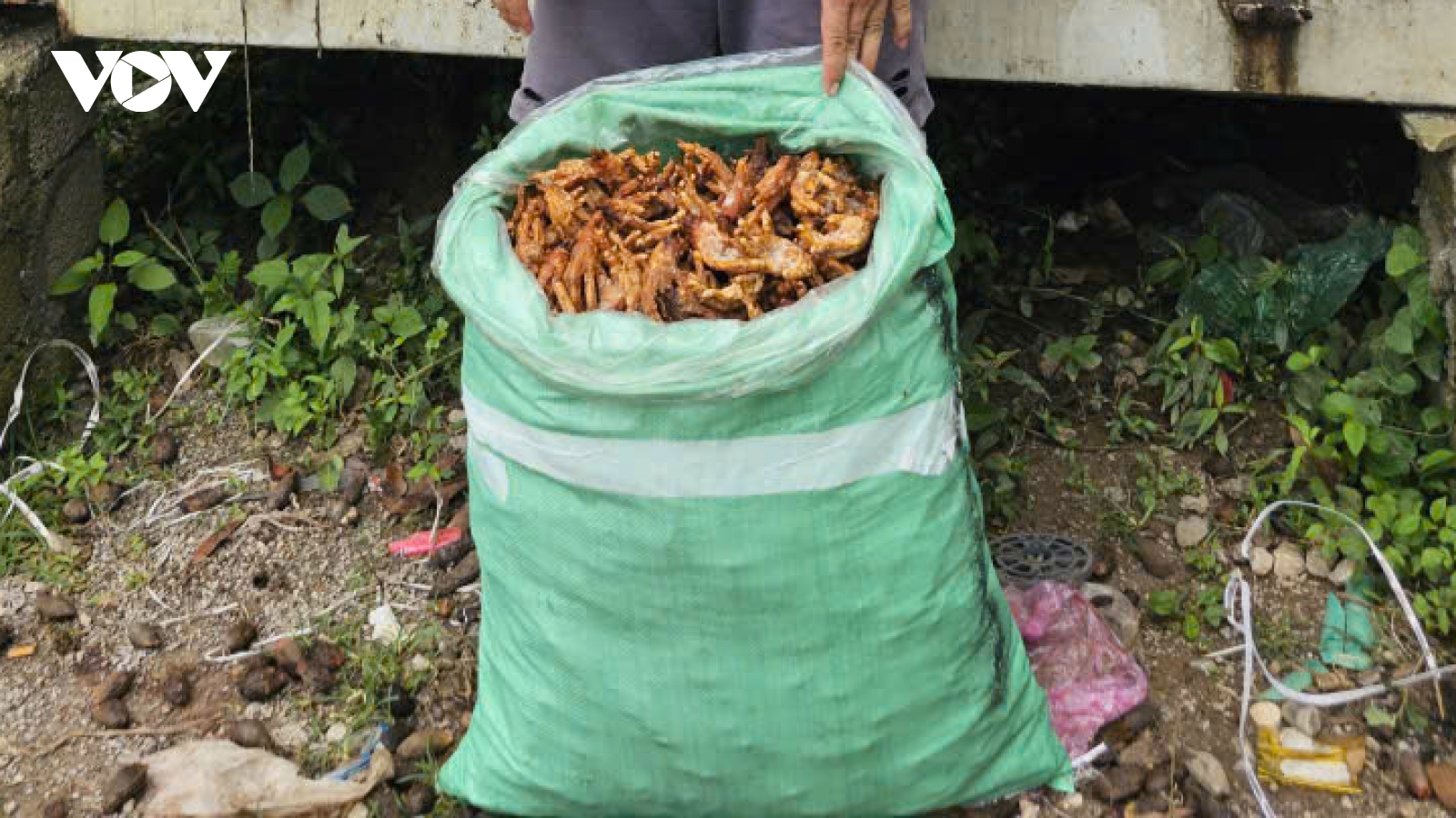 Phát hiện hơn 7 tấn thực phẩm đông lạnh không rõ nguồn gốc tại Cao Bằng